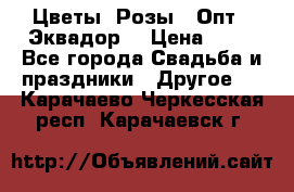 Цветы. Розы.  Опт.  Эквадор. › Цена ­ 50 - Все города Свадьба и праздники » Другое   . Карачаево-Черкесская респ.,Карачаевск г.